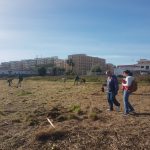 Nuovo polmone verde a Siracusa mille piante di leccio