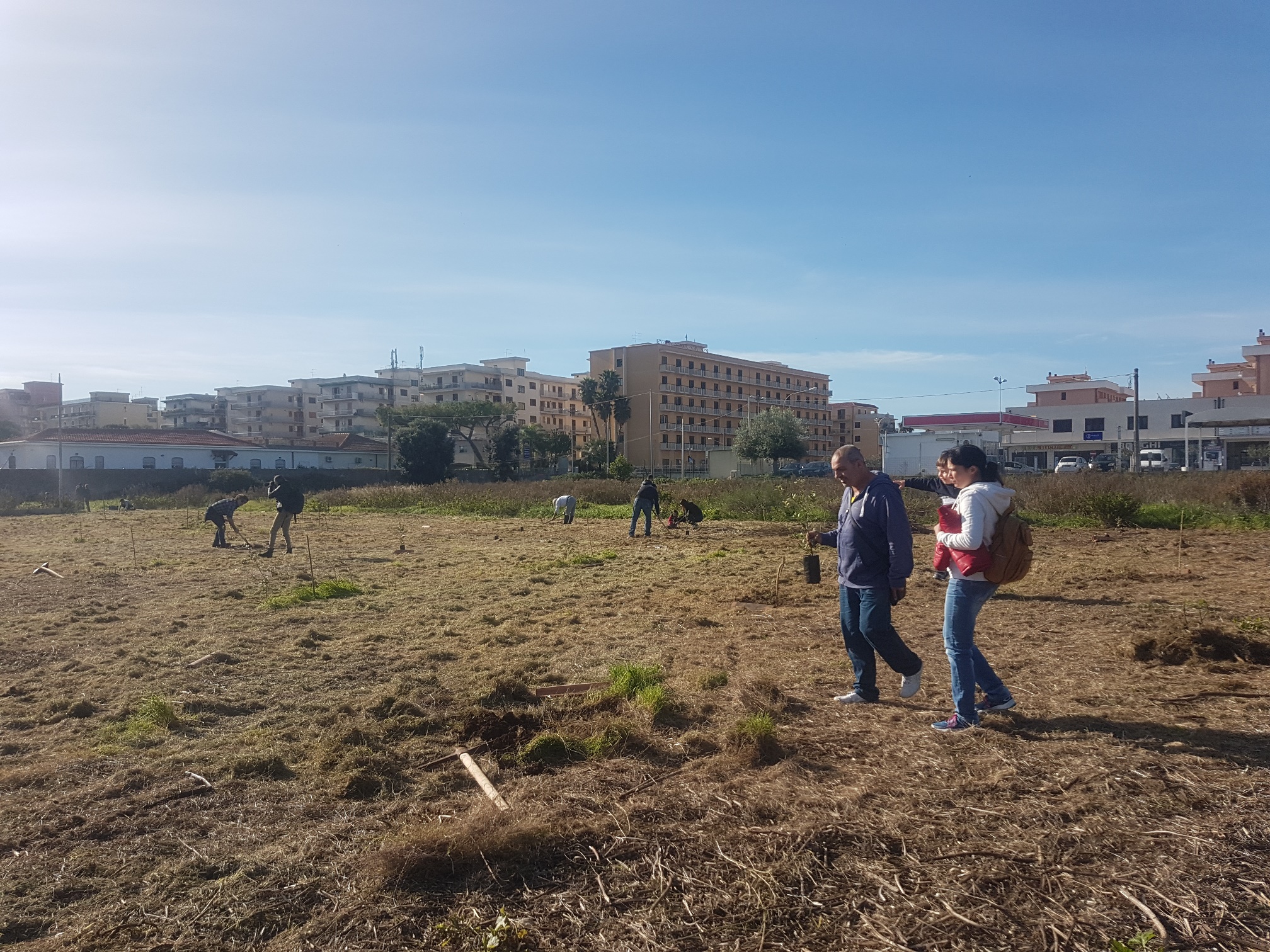 Nuovo polmone verde a Siracusa mille piante di leccio