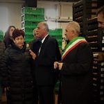 Agricoltura, la ministro Bellanova punta alla semplificazione