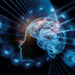 Plasticità neurale  e psicoterapia