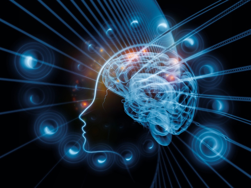 Plasticità neurale e psicoterapia Plasticità neurale e psicoterapia