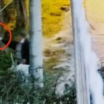 Estorsioni, pizzo a un vicino di casa, arrestato pensionato settantaquattrenne