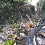 Meteo in Sicilia, da oggi vento e mareggiate nelle coste occidentali