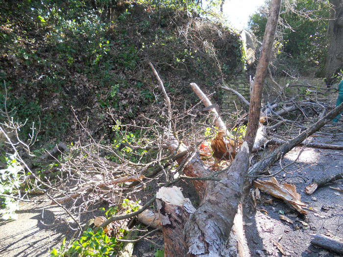 Meteo in Sicilia, da oggi vento e mareggiate nelle coste occidentali