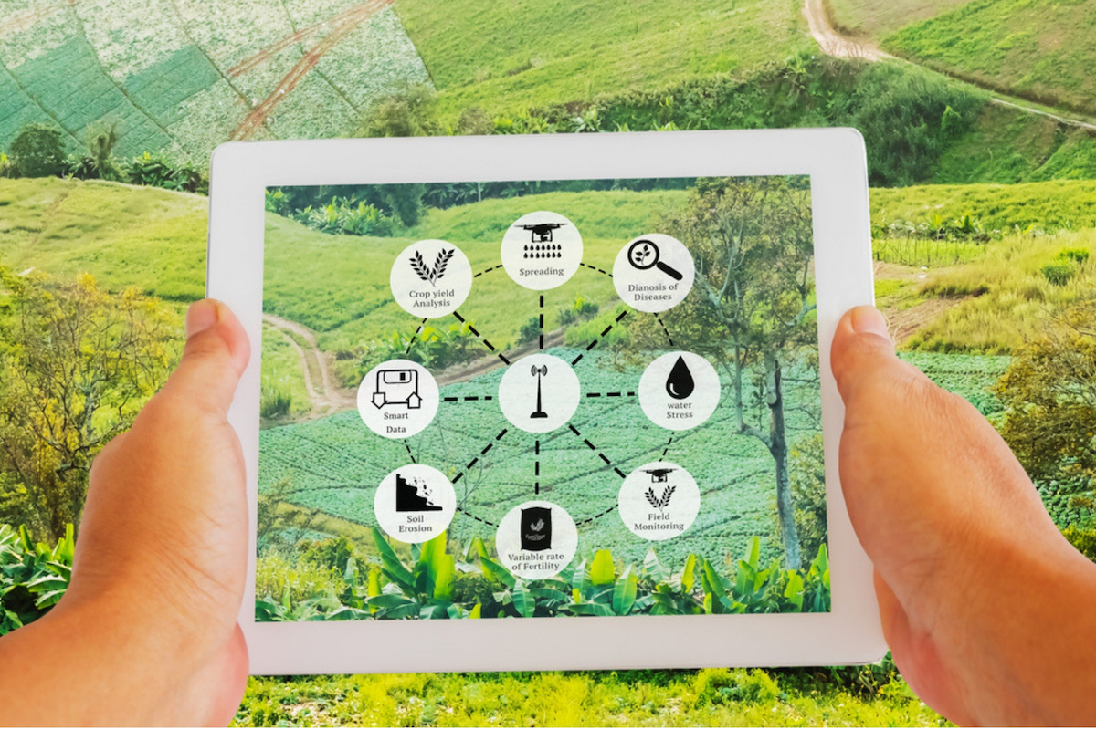 L’utilizzo di tecnologie per l’agricoltura di precisione