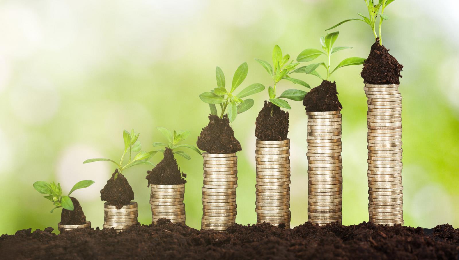 Bioeconomia, a Catania opportunità per le imprese