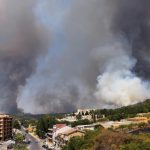 Piazza Armerina, boschi sotto i riflettori