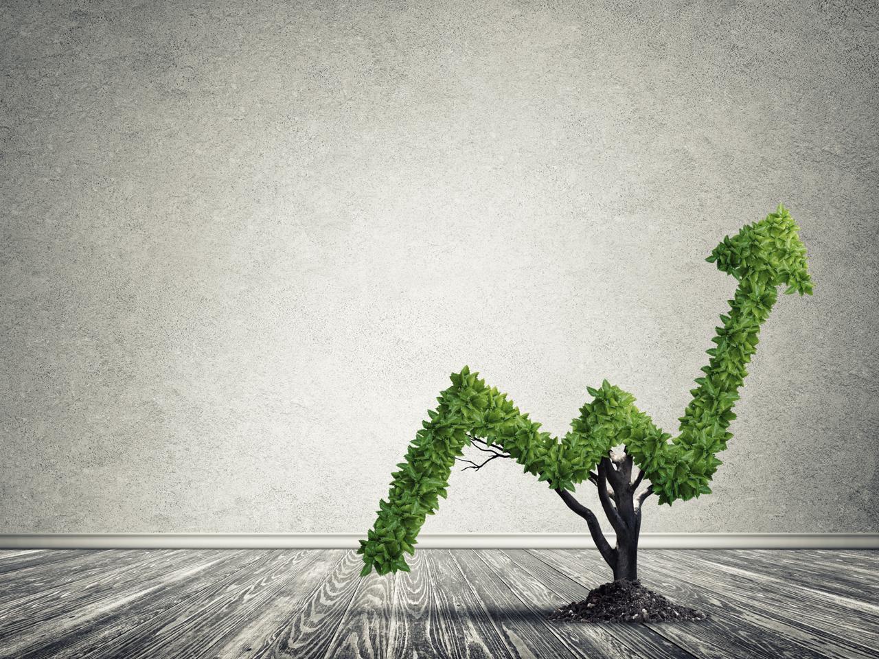 Imprese sostenibili, con investimenti green il valore aggiunto cresce al ritmo del 10%