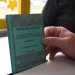 Elezioni in Emilia Romagna  e Calabria, il M5s si lecca le ferite