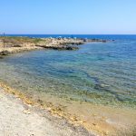 Biodiversità, da Salina a Vendicari, zone “speciali” da tutelare