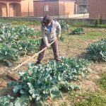 Caltagirone, in un terreno abbandonato  nasce “l’orto dell’amicizia”