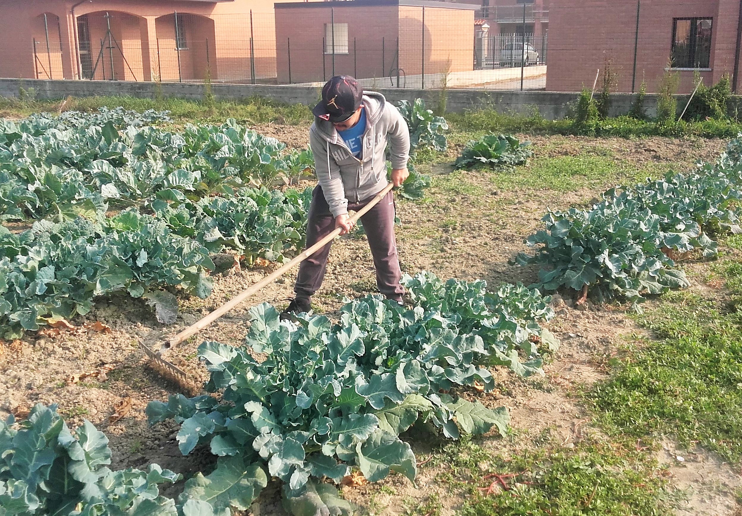 Caltagirone, in un terreno abbandonato  nasce “l’orto dell’amicizia”
