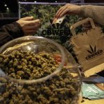 Cannabis terapeutica, in Sicilia la Regione darà il farmaco gratis. L’assessore   Razza firma il decreto