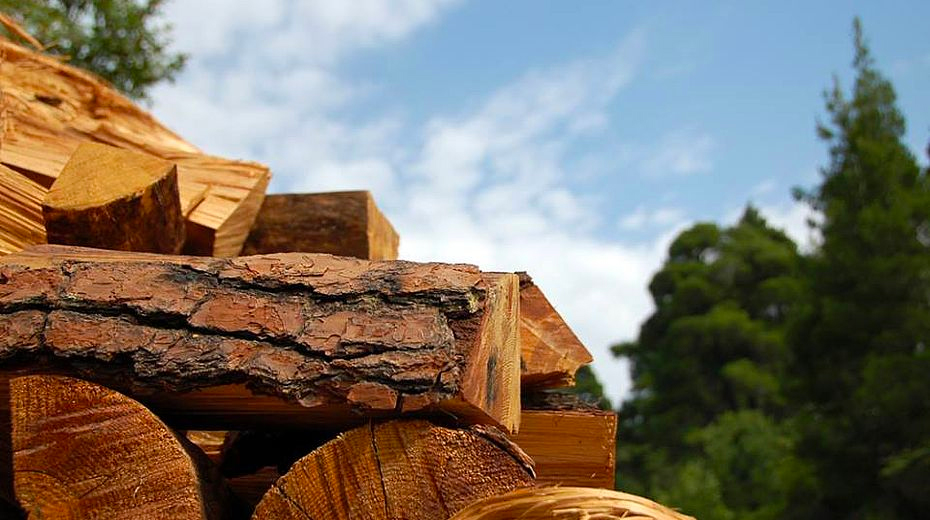 Contratti, Bombardieri: “Uil al fianco lavoratori settore legno in sciopero” 