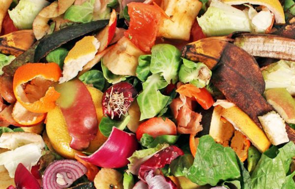 Riutilizzo degli scarti agroalimentari: 500 mila euro a progetto dell’Unict