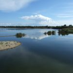 Nuova vita per le saline di Priolo dopo l’incendio del 10 luglio