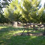 Catenanuova, una nuova luce per il Parco San Prospero