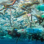 Blue economy per salvare il Mediterraneo dall’inquinamento e dal climate change