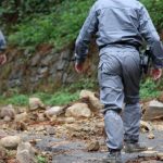 In Sicilia ventiduemila operai forestali, la metà di tutta Italia, uno ogni diciassette ettari di bosco