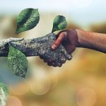 “Green jobs”, il futuro dell’occupazione è verde. Sicilia indietro, ma c’è una prateria di opportunità