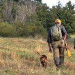 Caccia, per gli ambientalisti in Sicilia è stato un altro anno nero