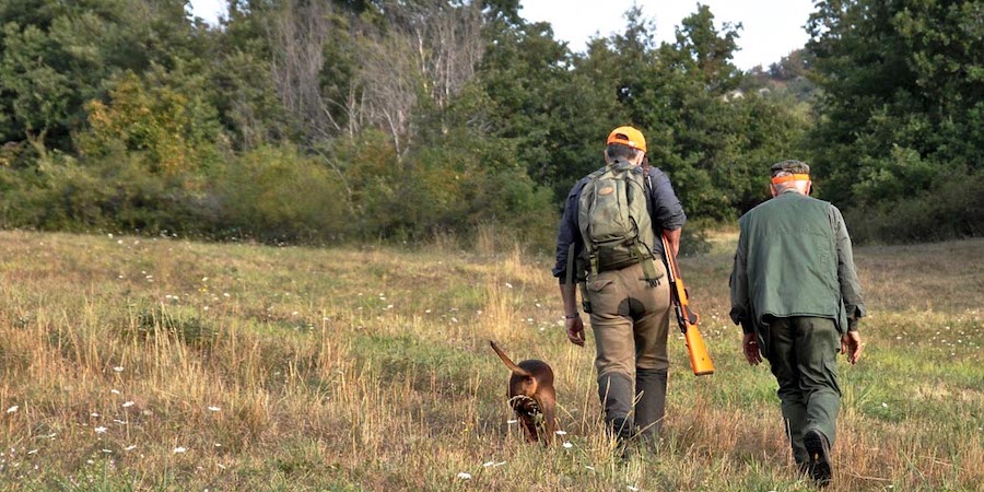 Caccia, per gli ambientalisti in Sicilia è stato un altro anno nero