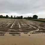 Aiuti per le imprese agricole colpite da calamità