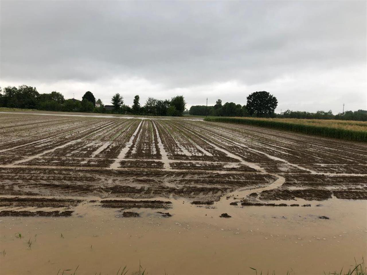 Aiuti per le imprese agricole colpite da calamità Aiuti per le imprese agricole colpite da calamità