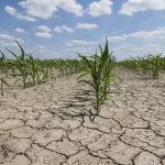 Allarme siccità per l’agricoltura della Sicilia