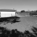 Bilancio partecipato, la scelta di Viagrande, una doggy fitness accanto all’isola ecologica