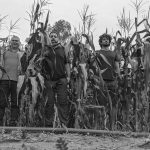 Agricoltura sostenibile in Mozambico grazie a un progetto dell’Unict