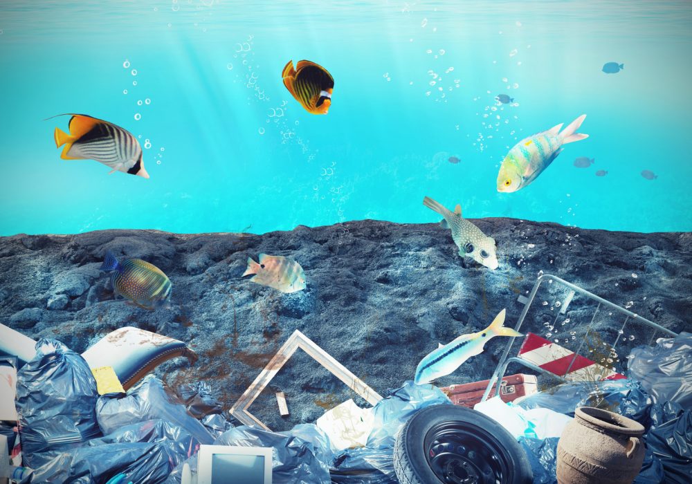 Tutela del mare dall’inquinamento, oltre 22 mln per i progetti di ricerca