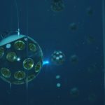 “Idmar”, un laboratorio diffuso in fondo al mare di Sicilia