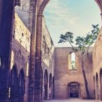 Palermo, da abbattere l’albero di Alianto cresciuto dentro la chiesa dello Spasimo