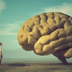 Ricerca, così il cervello usa mappe spaziali simili per luoghi e concetti