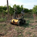 Con monitoraggio e cura delle vigne l’agricoltura è sempre più robotica