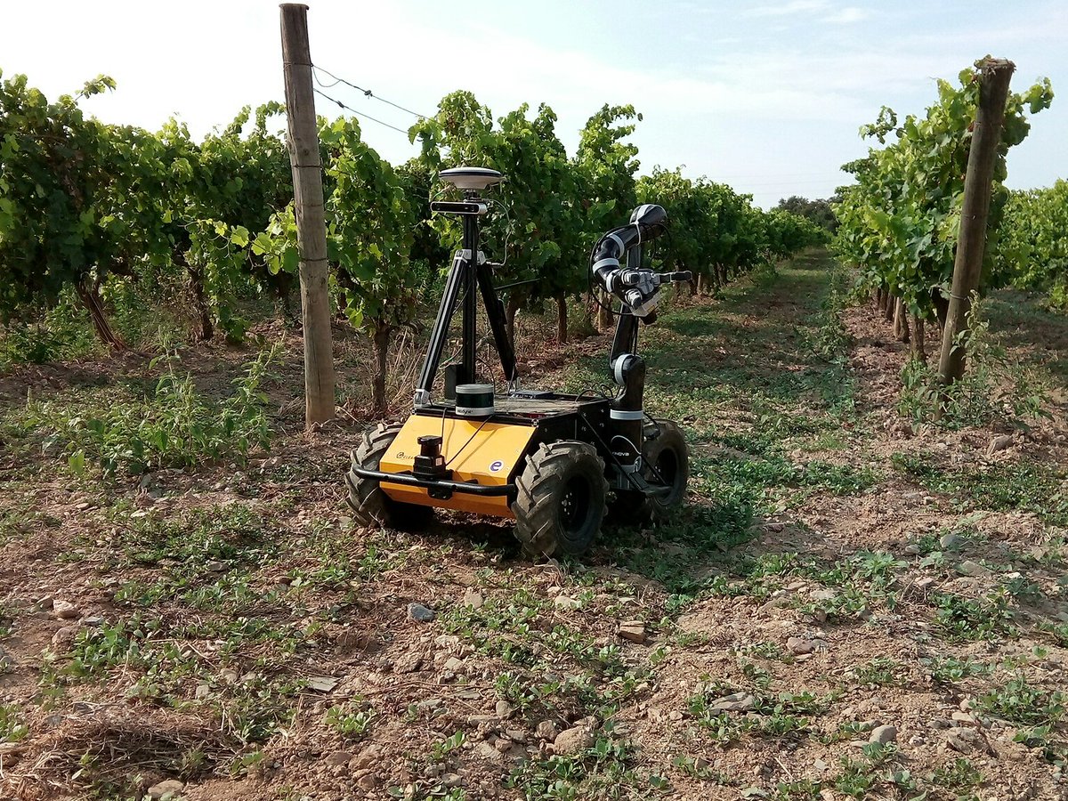 Con monitoraggio e cura delle vigne l’agricoltura è sempre più robotica Con monitoraggio e cura delle vigne l’agricoltura è sempre più robotica