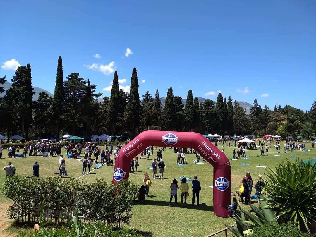 Palermo, ritorna “La domenica Favorita”