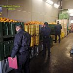 Sequestro Maas, il Distretto Agrumi chiede maggiori controlli