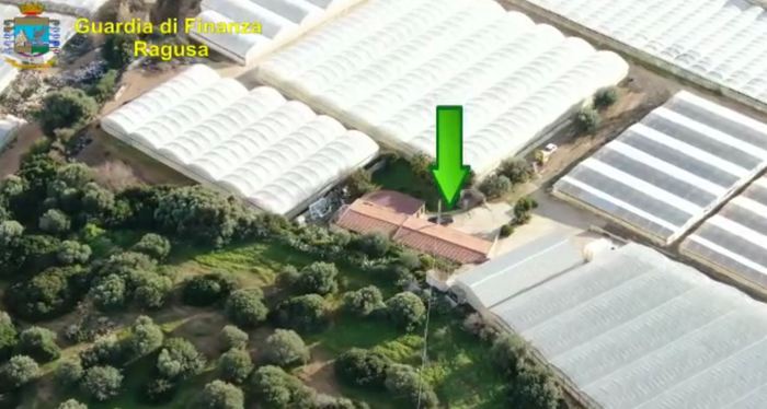 Partinico, scoperta maxi piantagione marijuana vicino al Santuario