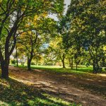 Ragusa, verde pubblico, approvato il regolamento