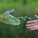 Il Comune di Troina è sempre più green