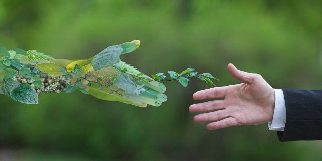 Il Comune di Troina è sempre più green