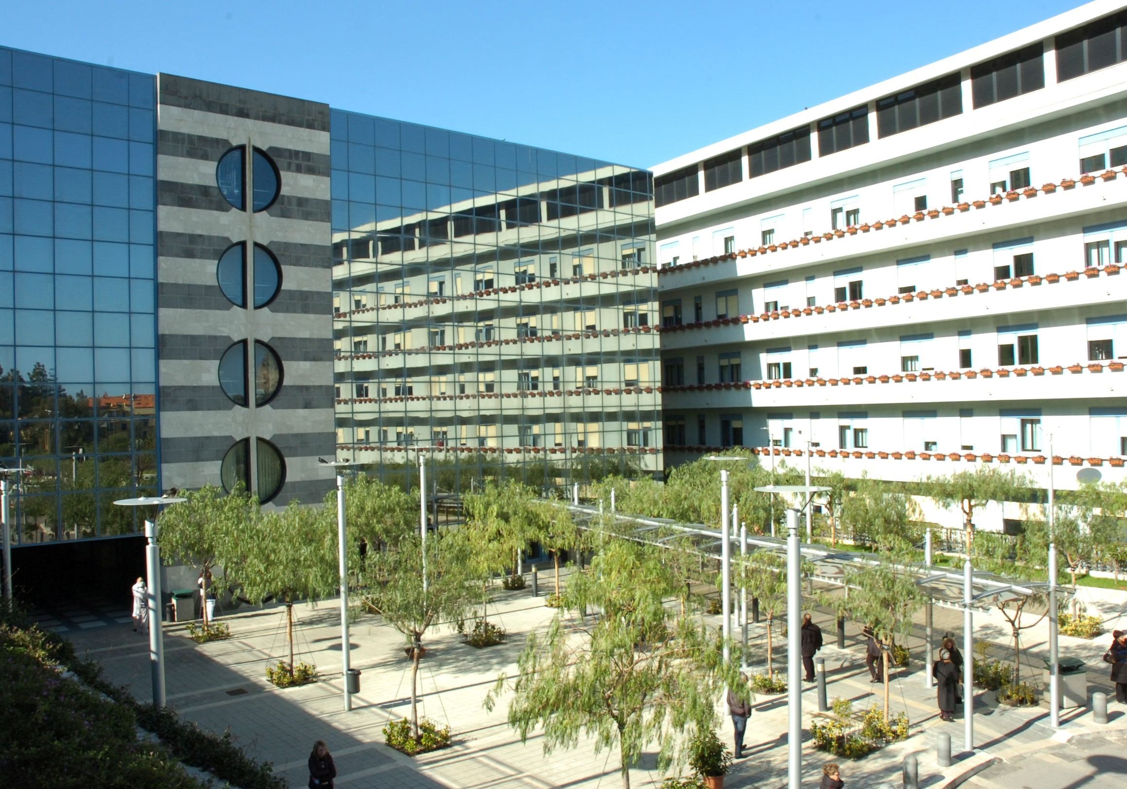 Tumori, la Fondazione Giglio  rinnova la collaborazione con Ail