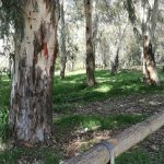 Piazza Armerina punta molto sull’ambiente
