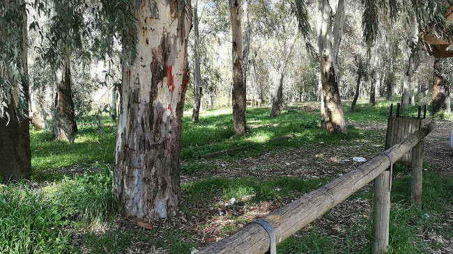 Piazza Armerina punta molto sull’ambiente