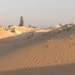 Gac dei due mari, a Ispica e Modica salvare le dune