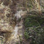 Vallelunga Pratameno, un progetto per sistemare il torrente Salacio