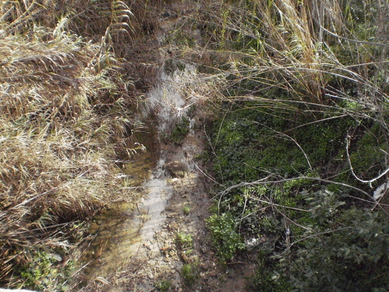Vallelunga Pratameno, un progetto per sistemare il torrente Salacio Vallelunga Pratameno, un progetto per sistemare il torrente Salacio