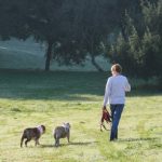 Nessun divieto di fare passeggiate ma viene raccomandato di evitarle